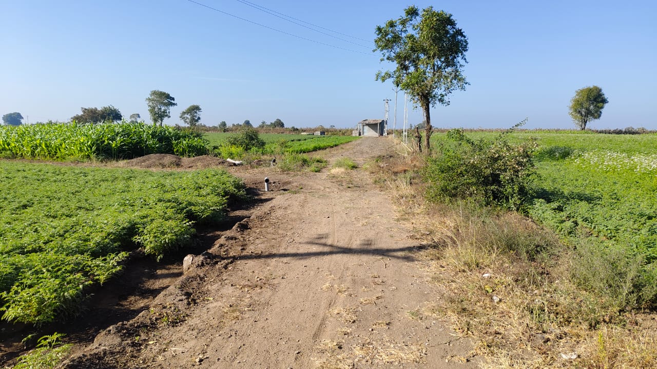 Agriculture land