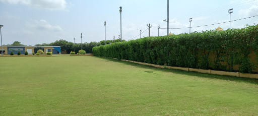 All Garden sarvice